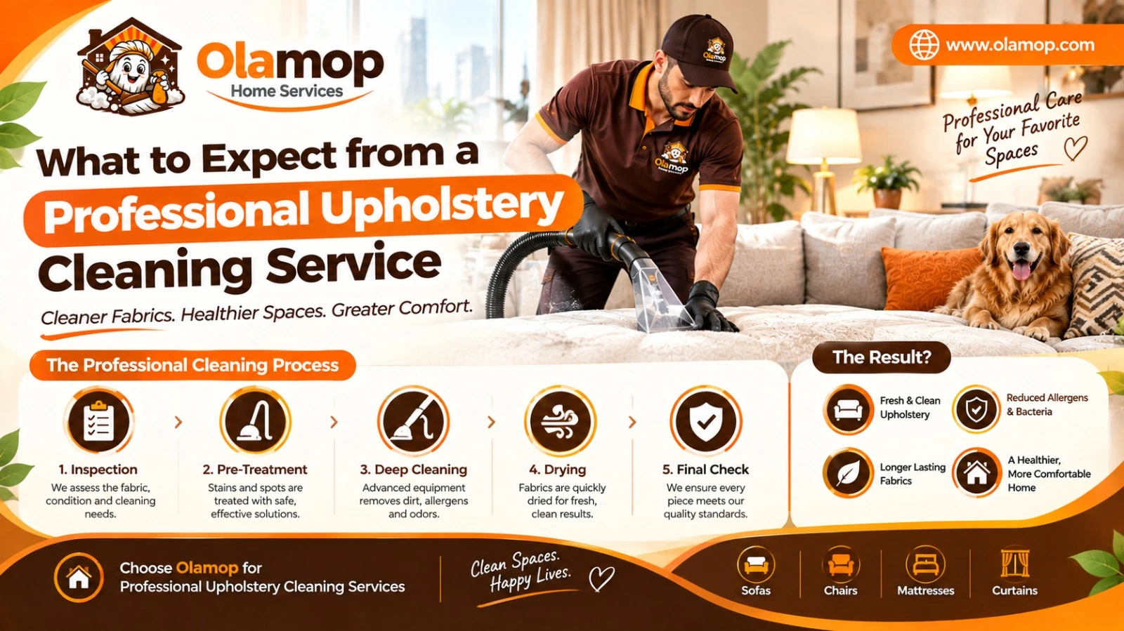 What to Expect from a Professional Upholstery Cleaning Service